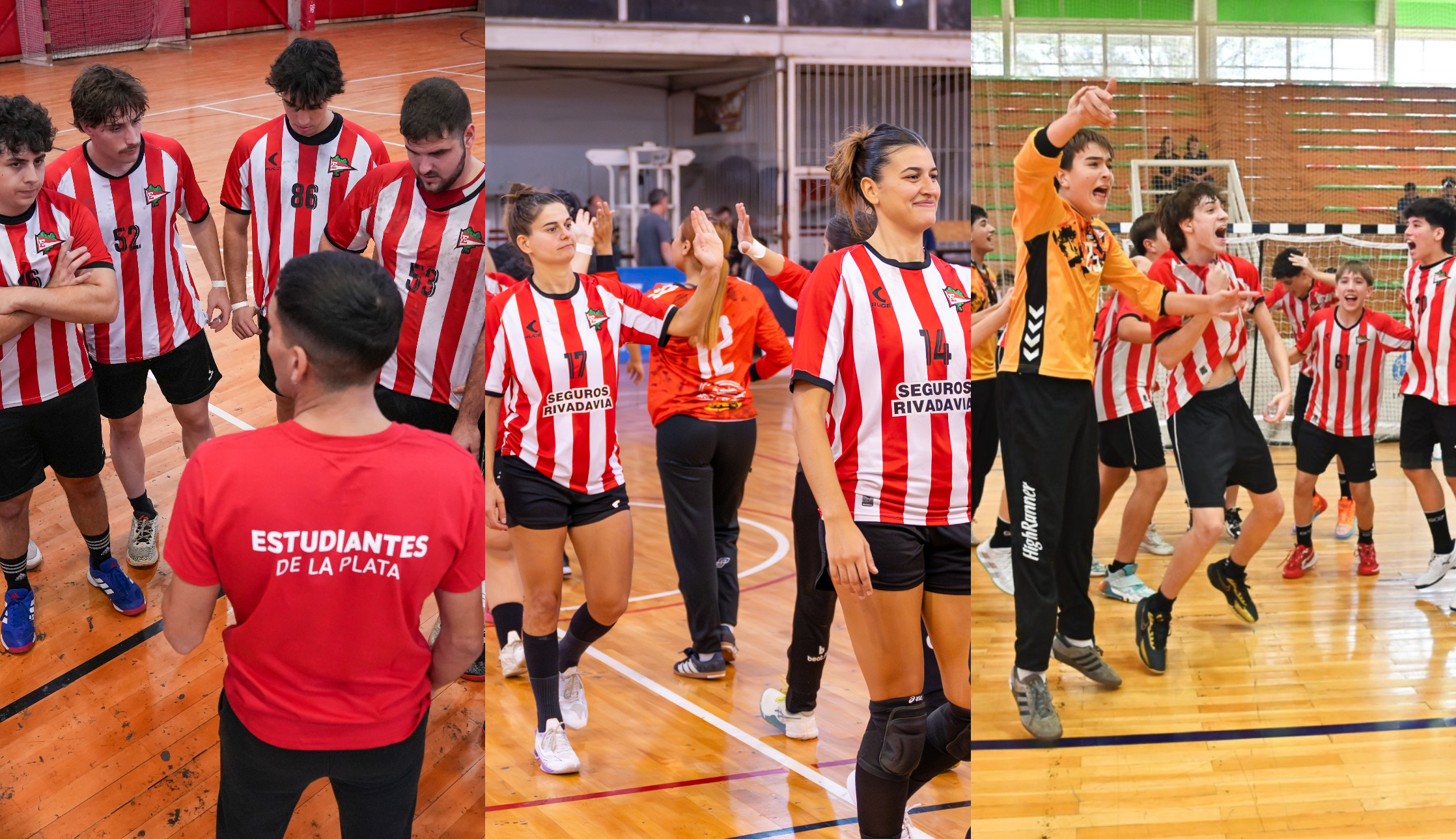 Mal momento para el handball masculino de Estudiantes.