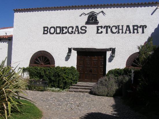 Molinos Río de la Plata compró una bodega salteña